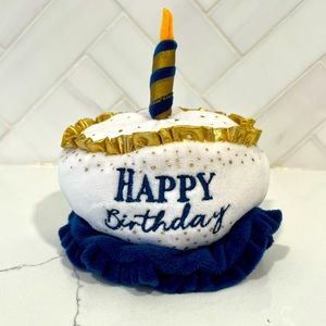 Pet Light Up Birthday Hat